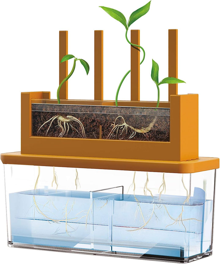 Experimento STEM Haz Crecer Una Planta
