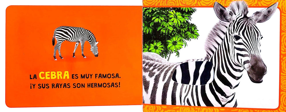Libro De Texturas Animales De La Selva