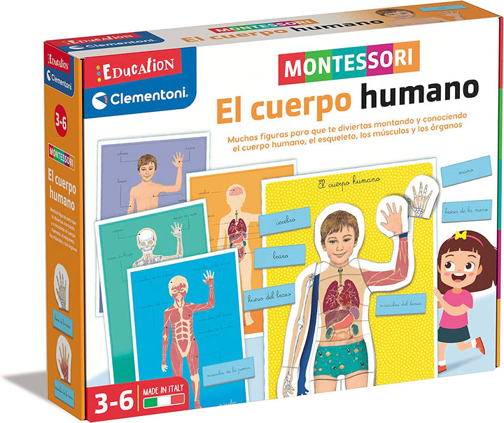 Juego Montessori El Cuerpo Humano Para Niños