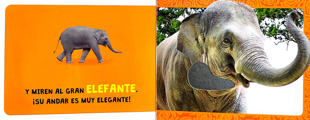 Libro De Texturas Animales De La Selva
