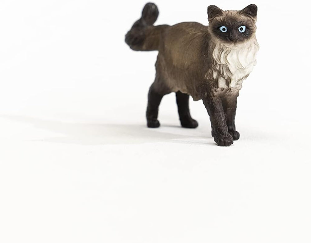 Figura Animales Gato Ragdoll Pintado A Mano