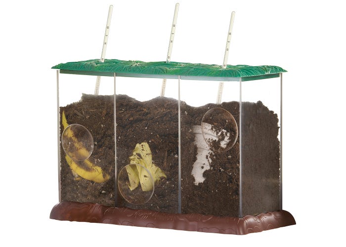 Set De Experimentos Proceso del Compostaje Para Niños