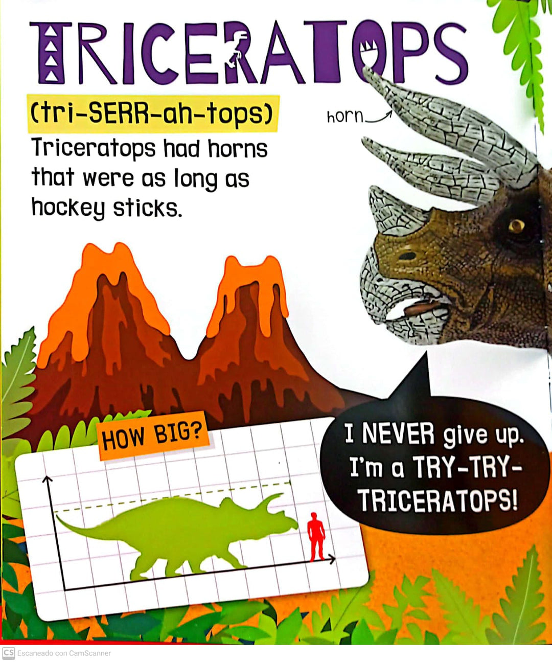 Libro Para Ninos Dinosaurios Sensorial