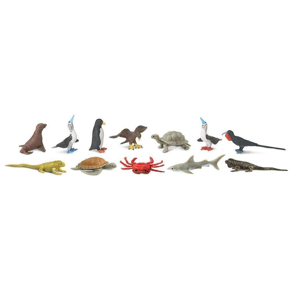Tubos De Animales Galapagos Pintado a Mano