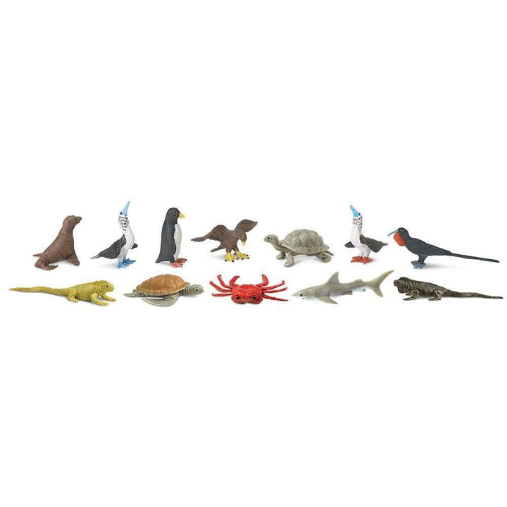 Tubos De Animales Galapagos Pintado a Mano