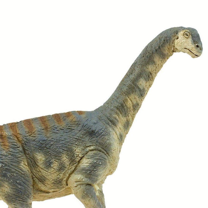 Figura Dinosaurio Camarasaurus Pintado a Mano