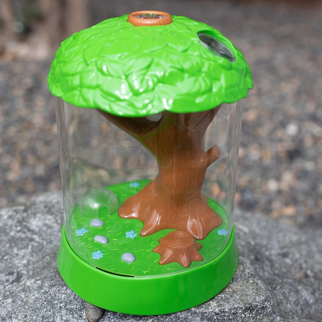 Hábitat Para Observar Insectos