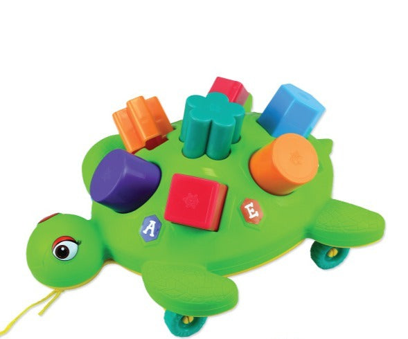 Tortuga Didáctica Para Encajar