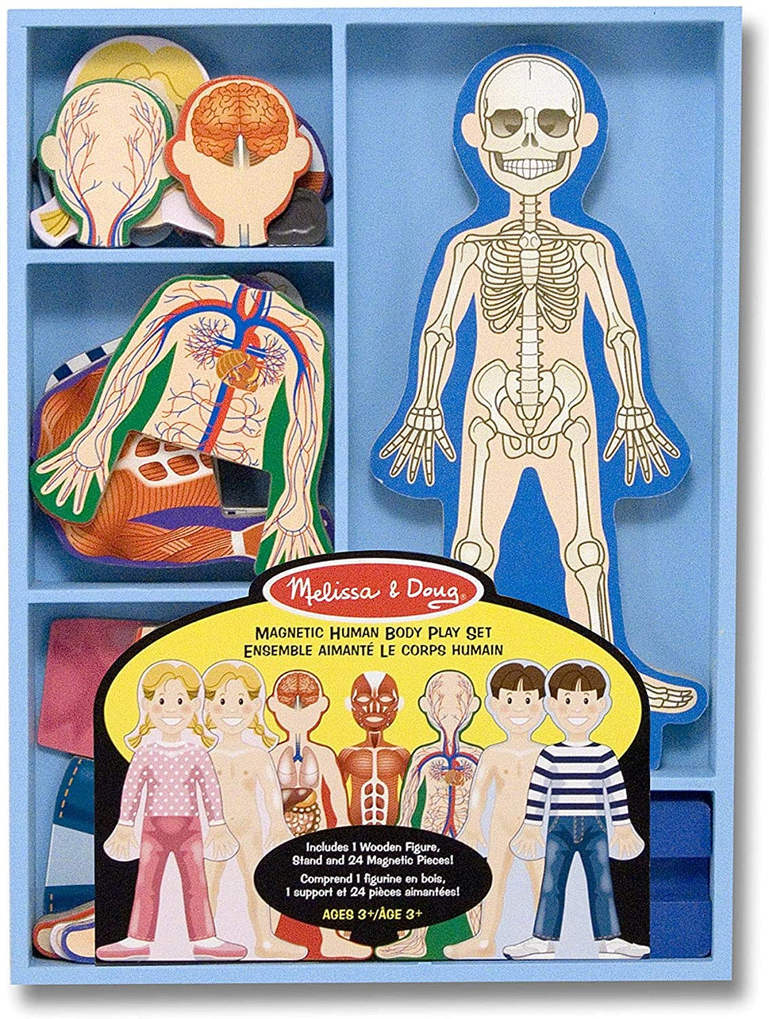 Juego Magnético Cuerpo Humano