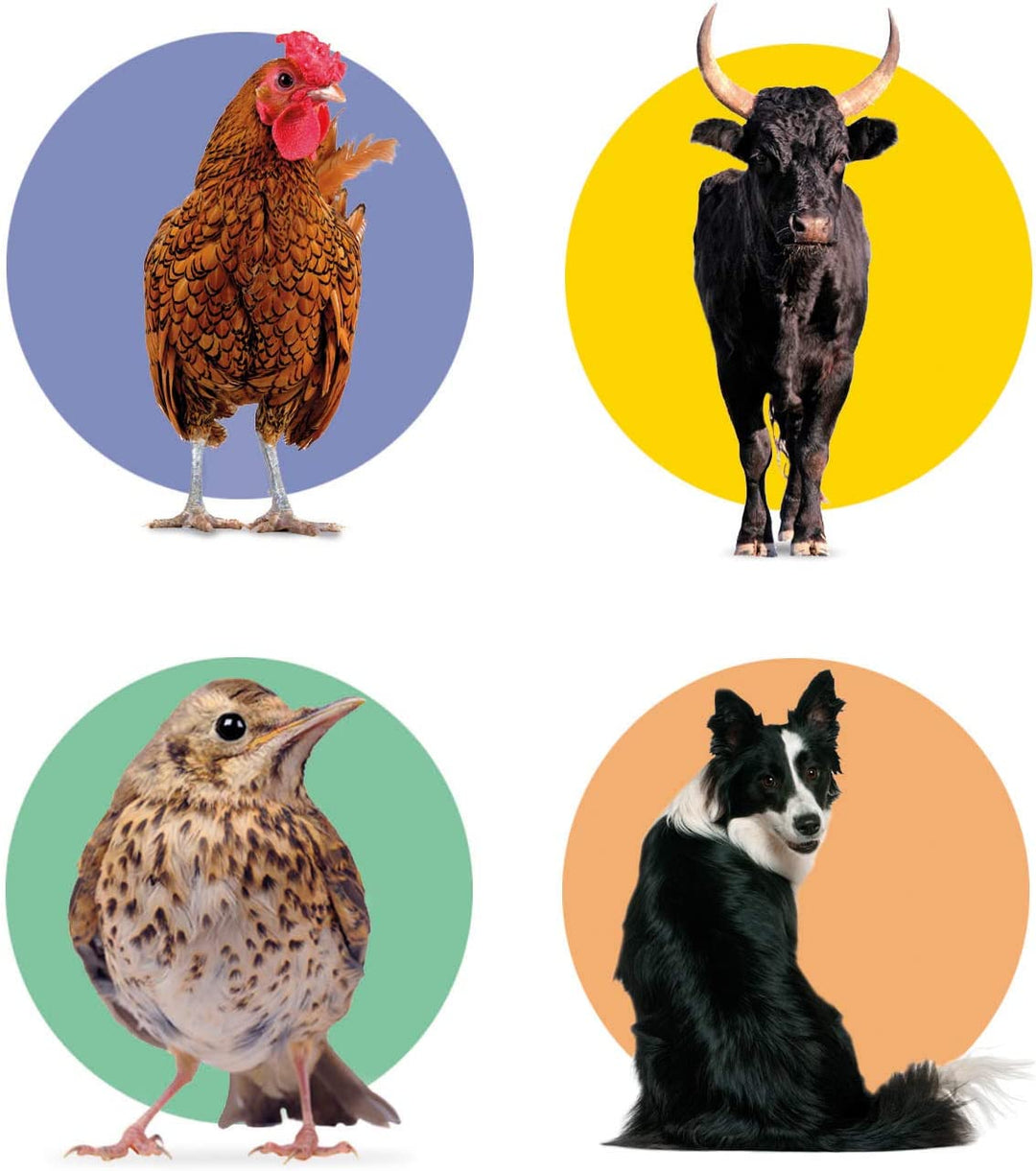 Juego De Mesa Memoria Animales De La Granja Para Niños