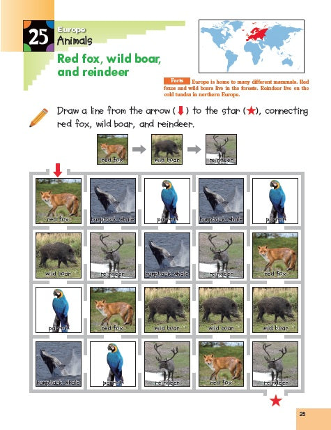 Libro Kumon World Geography K &amp; Up Sticker Act Para Niños