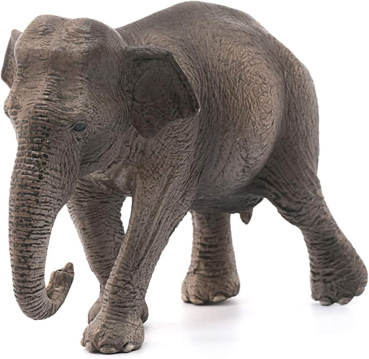 Figura Animales Elefante Asiatico Pintado A Mano