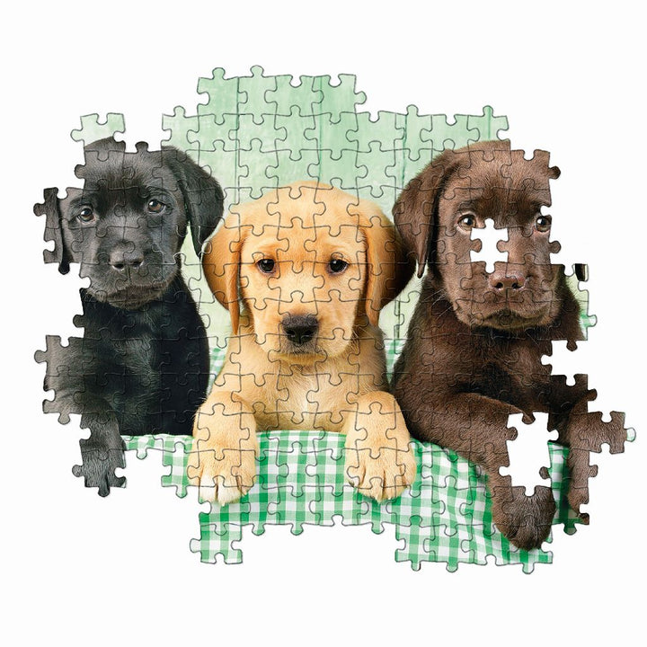 Rompecabezas 1000 Piezas Perros Labrador