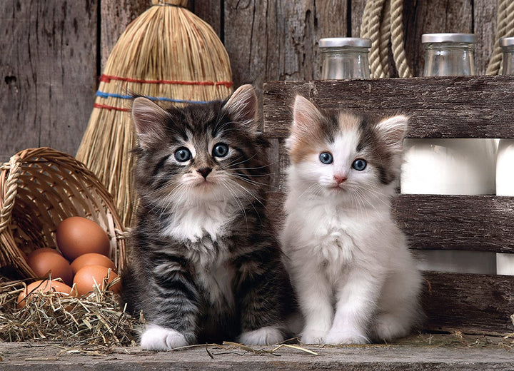 Rompecabezas 1000 Piezas Gatos Clementoni