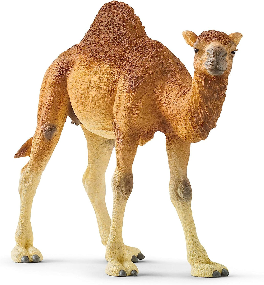 Figura Animales Dromedario Pintado A Mano