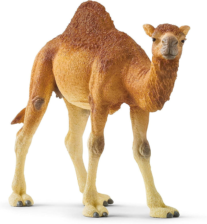 Figura Animales Dromedario Pintado A Mano