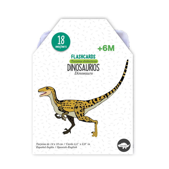 Flash Cards Kocodio Dinosaurios