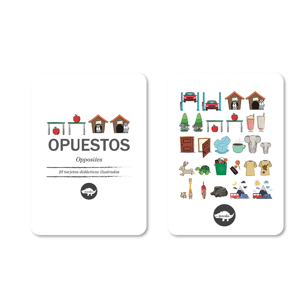 Flash Cards Kocodio Opuestos