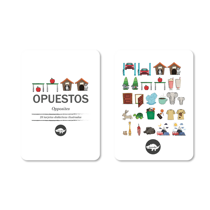 Flash Cards Kocodio Opuestos