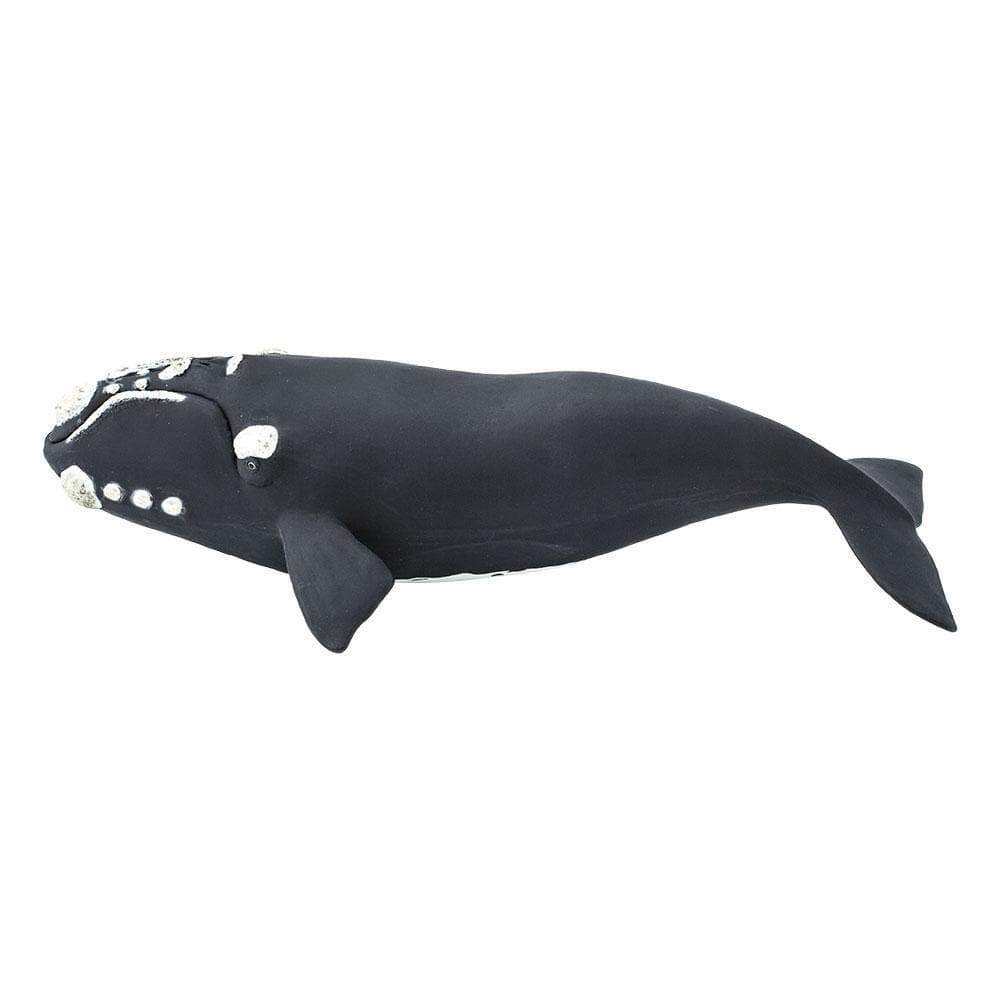 Figura Animales Ballena Franca Pintado a Mano