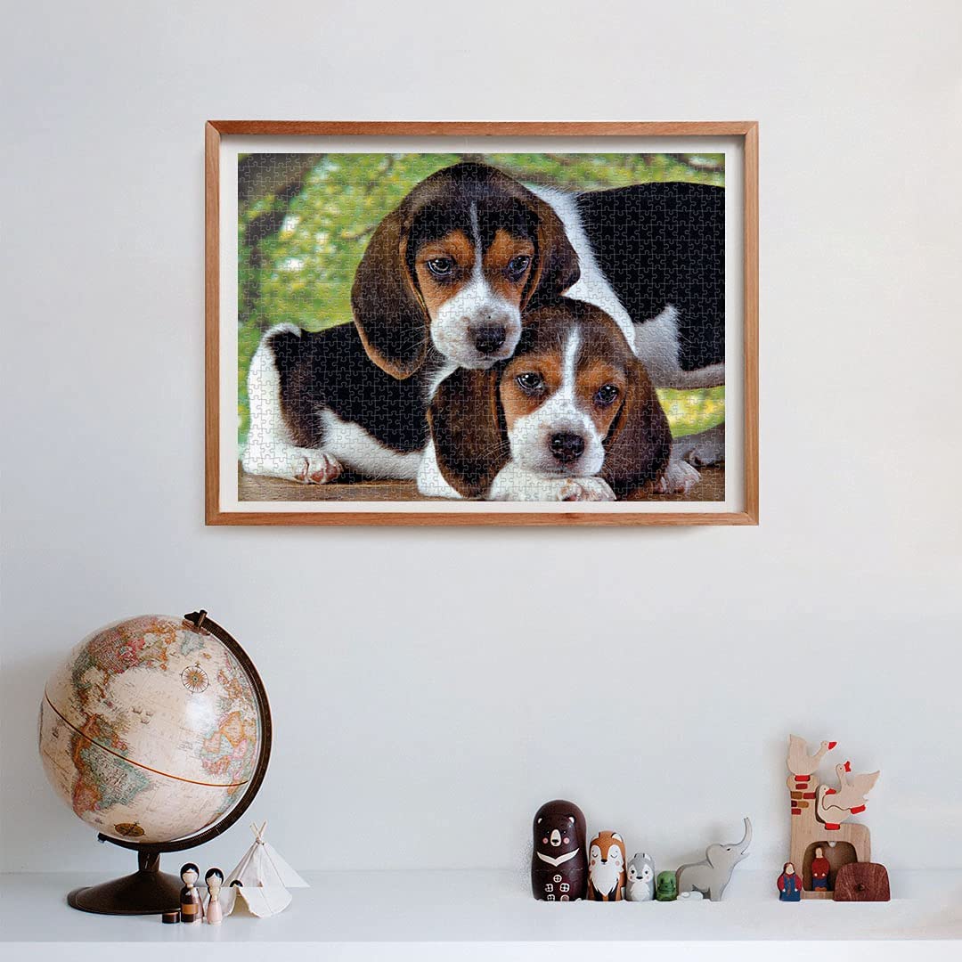 Rompecabezas 500 Piezas Perro Beagle