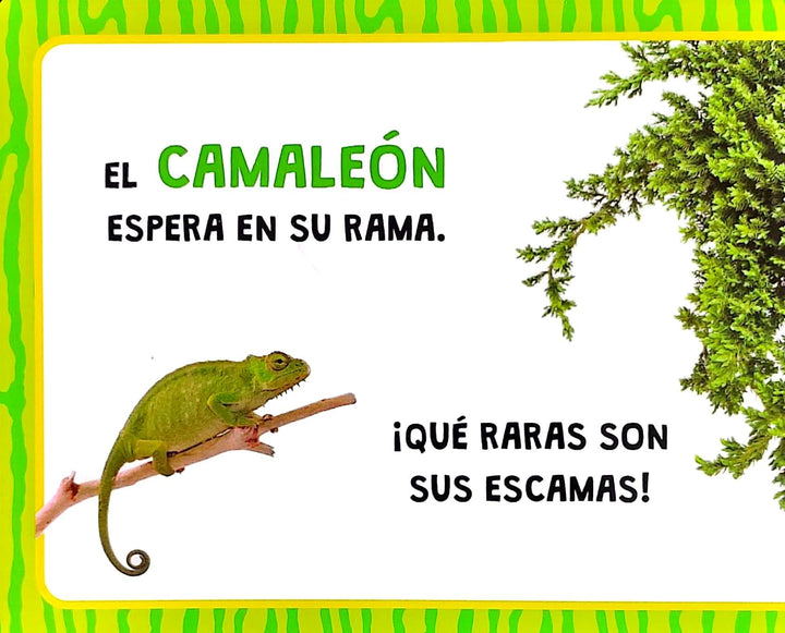 Libro Sensorial Animales Del Bosque