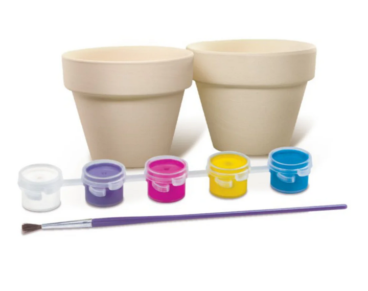Kit De Arte Pinta Macetas Para Flores
