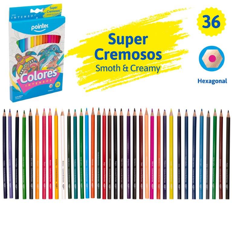 Caja De Colores Hexagonales 36 Und