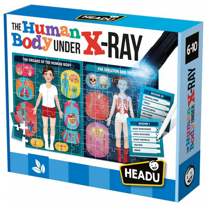 Juego STEM Rompecabezas El Cuerpo Humano