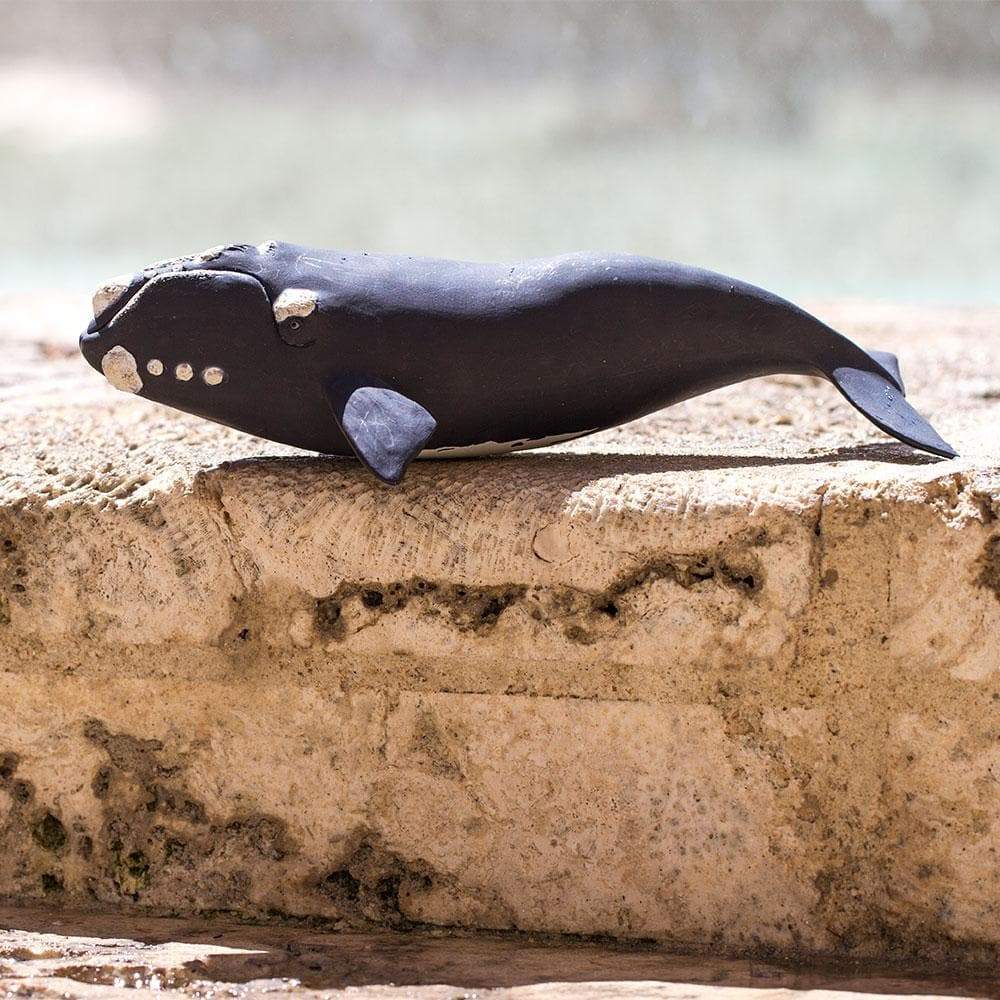 Figura Animales Ballena Franca Pintado a Mano