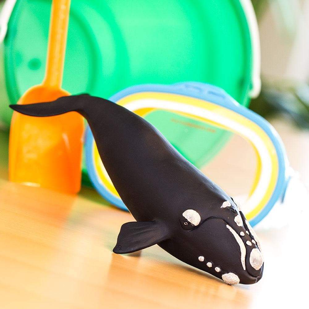 Figura Animales Ballena Franca Pintado a Mano