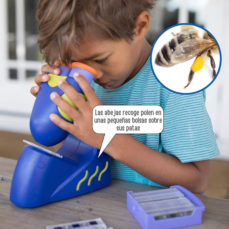 Juego Microscopio Interactivo Explorando La Naturaleza