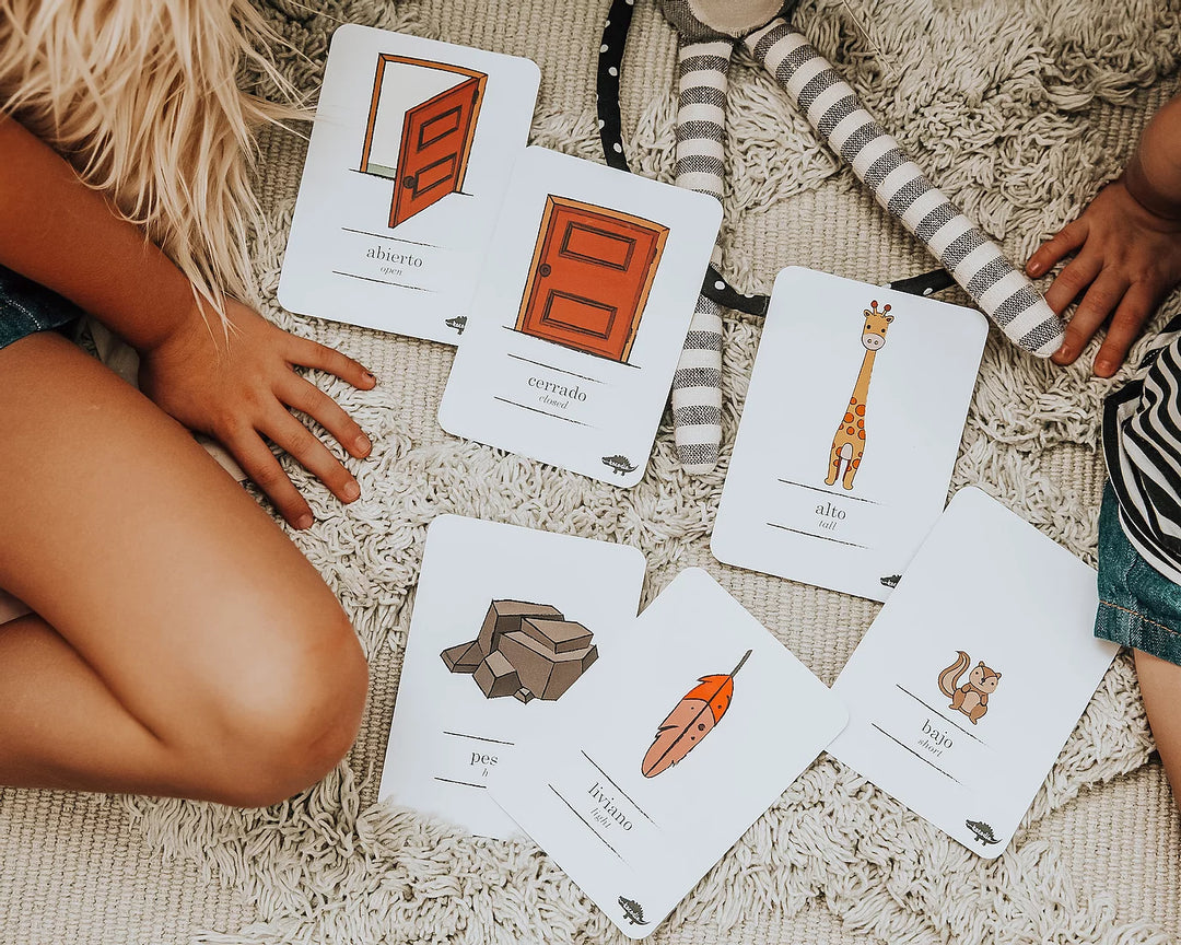 Flash Cards Kocodio Opuestos