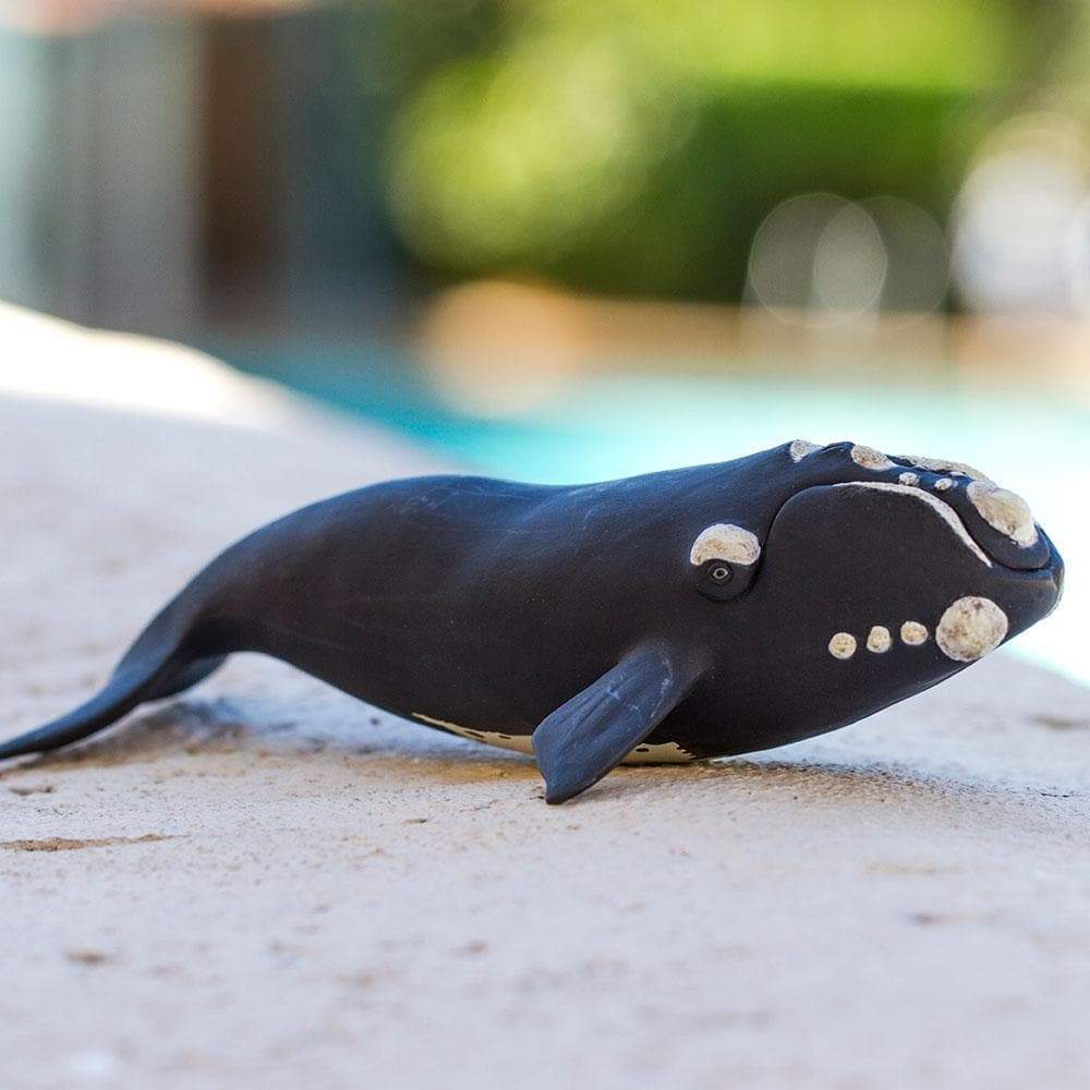 Figura Animales Ballena Franca Pintado a Mano