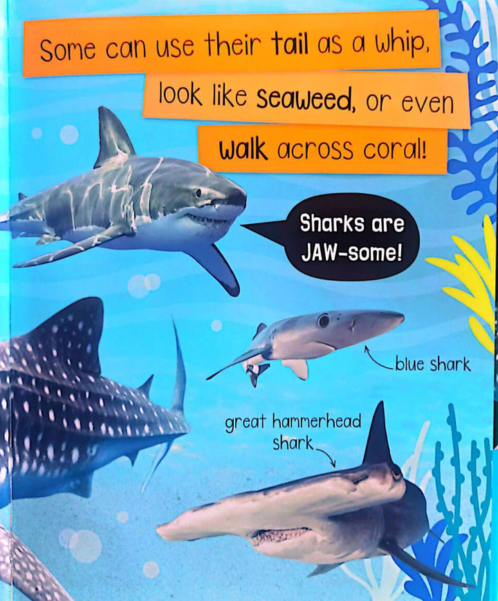 Libro Para Ninos Tiburones Sensorial
