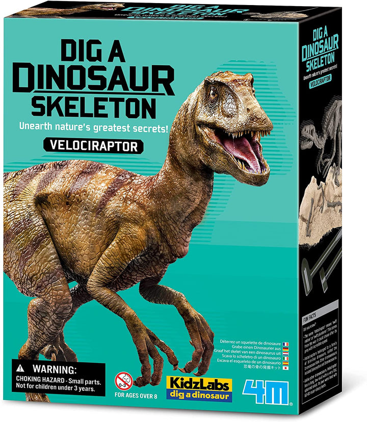 Dinosaurio Set de Arqueología Velociraptor