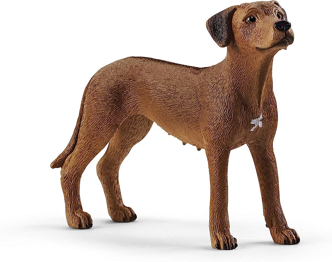 Figura Animales Perro Crestado Rodesiano Pintado A Mano
