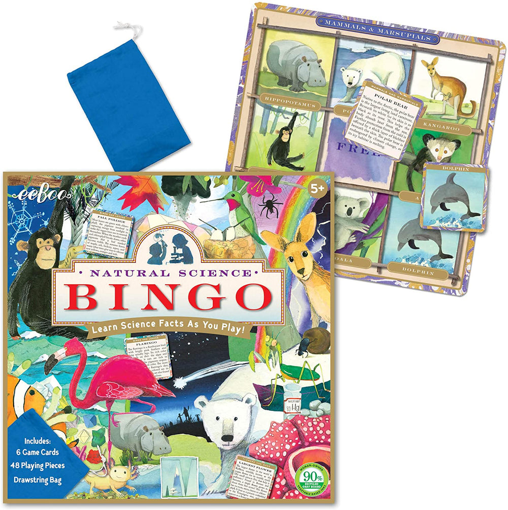 Bingo Didactico Ciencias En Ingles