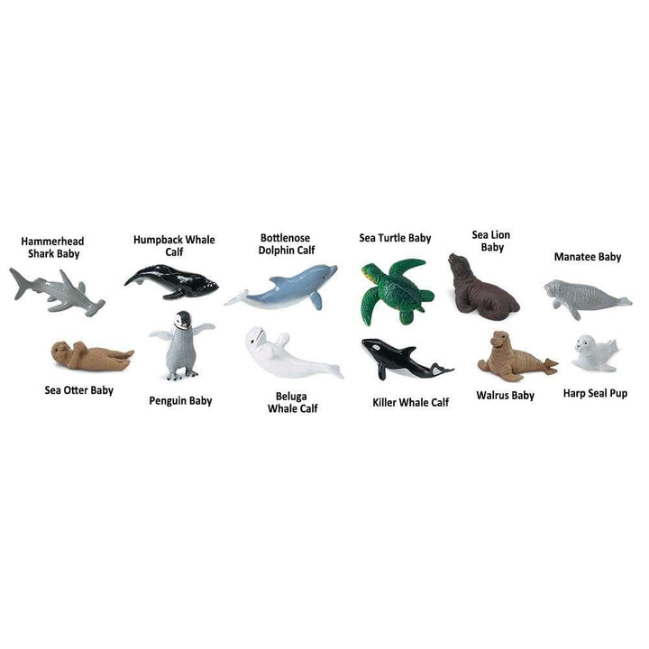 Set animales marinos