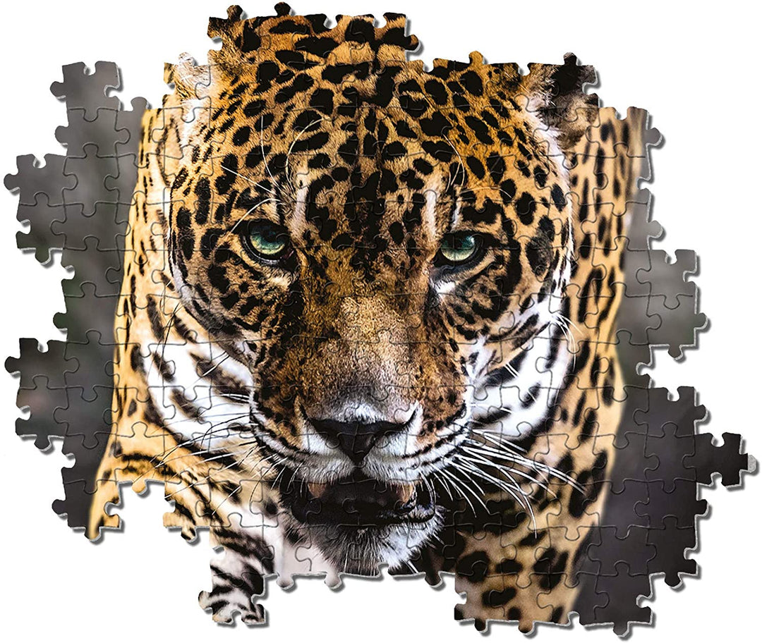 Rompecabezas 1000 Piezas Camino Del Jaguar