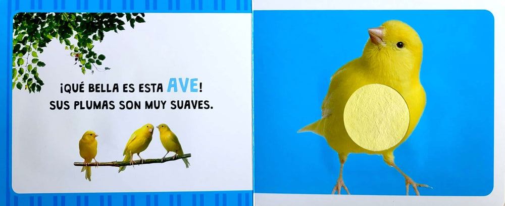 Libro De Texturas Animales De La Casa