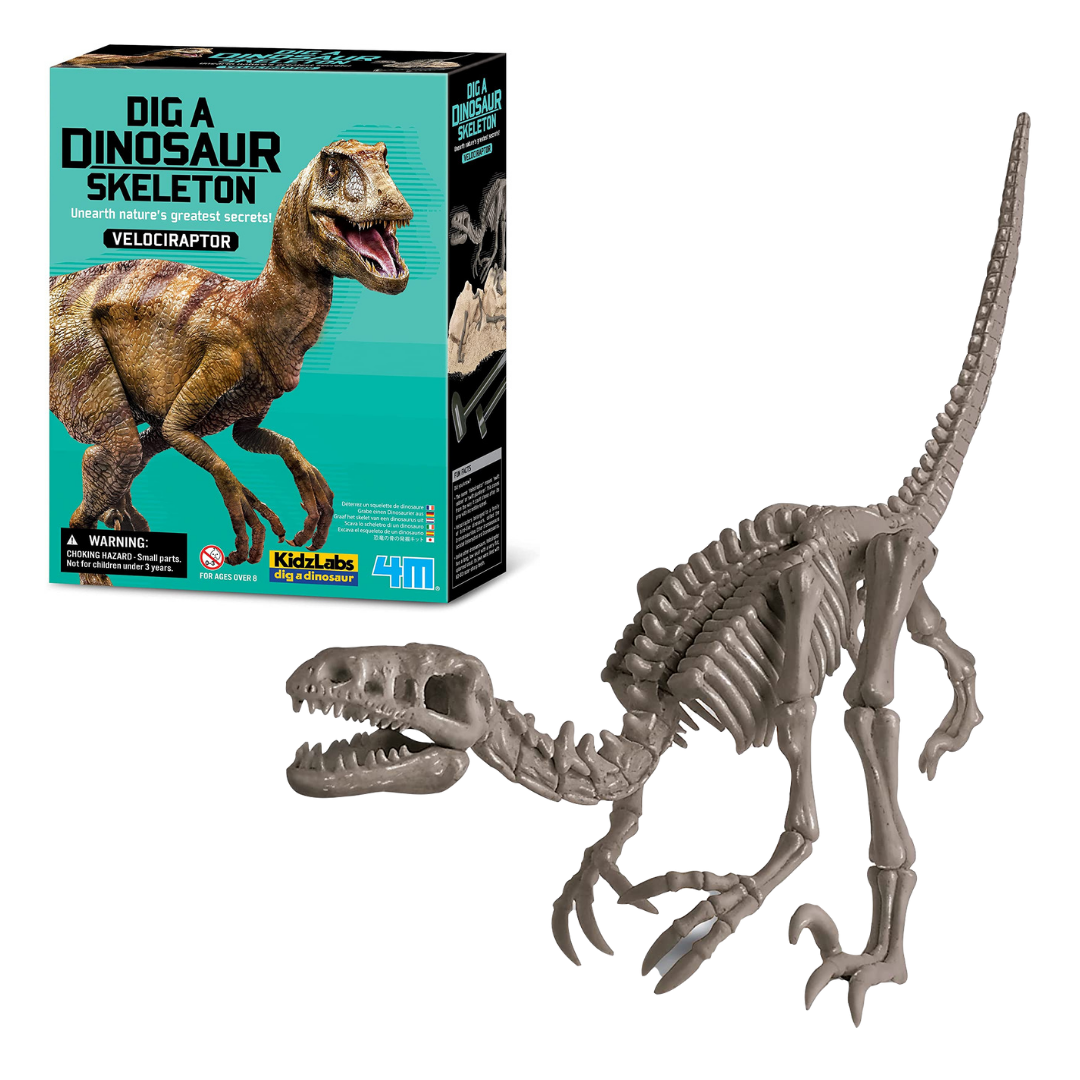 Dinosaurio Set de Arqueología Velociraptor