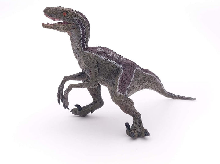 Dinosaurio Velociraptor Pintado a Mano
