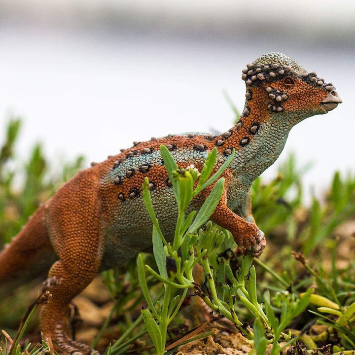 Figura Pachycephalosaurus Pintado a Mano