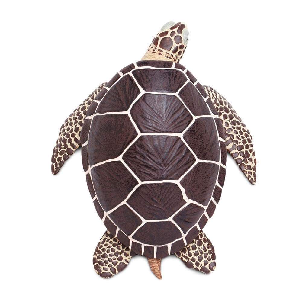 Figura Animales Tortuga Marina Pintado a Mano