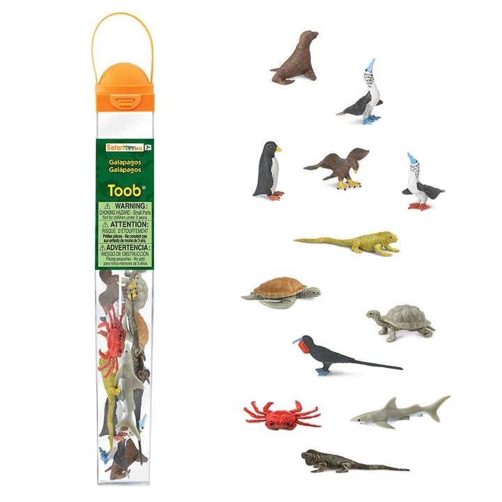Tubos De Animales Galapagos Pintado a Mano