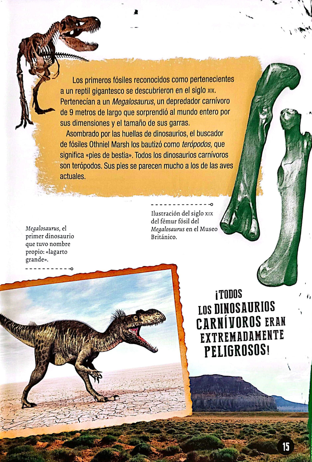 Libro Enciclopedia De Los Dinosaurios