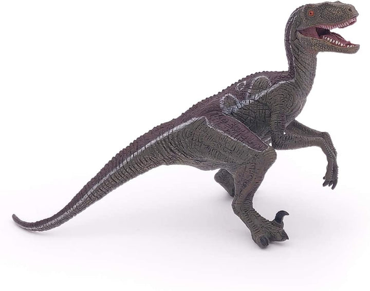 Dinosaurio Velociraptor Pintado a Mano