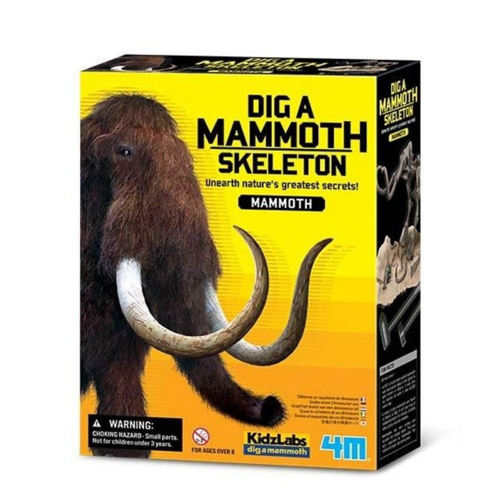 Set de Arqueologia Mamut Fosil