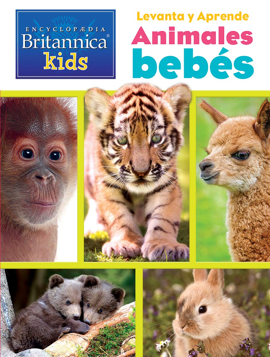 Libro Busca Y Encuentra Animales Bebes
